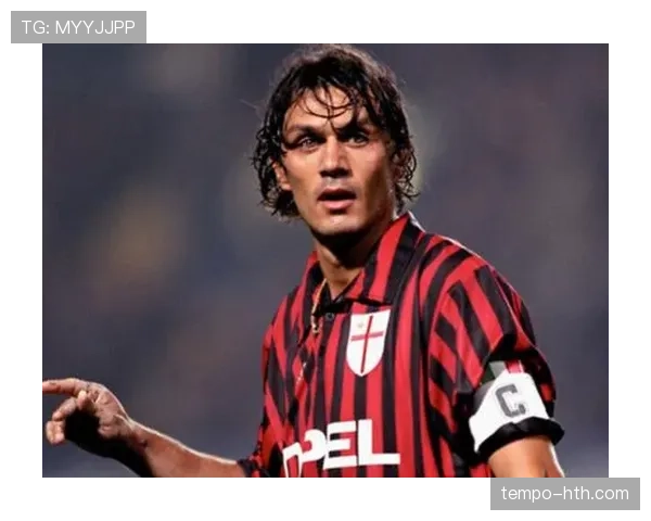 马尔蒂尼技术解析